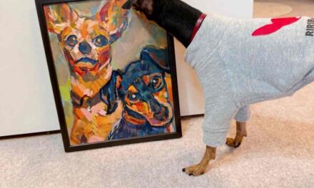 COLLECTORS ROOM | 087