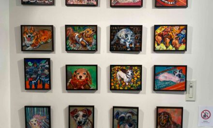 個展  | 11月21日-12月3日 | 2025 いぬとねこと #企画展 #東京 #現代アート