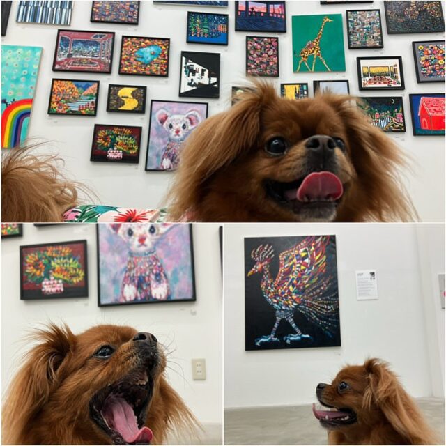 個展 | 大谷太郎「LIFE」
ワンちゃん同伴できます。以前描かせて頂きましたGakuちゃんに会えて嬉しかった〜　ありがとうございました😊
2025年5月7日(水) ～ 5月24日(土)
営業時間：11:00-19:00　休廊：日月祝
展示作品オンラインでも販売中です。
https://www.tagboat.com/products/list.php?author_id=1000550
お気軽にお立ち寄りください。

大谷太郎「LIFE」
2025年5月7日(水) ～ 5月24日(土)
営業時間：11:00-19:00　休廊：日月祝
入場無料・予約不要
会場：tagboat 〒103-0006 東京都中央区日本橋富沢町7-1 ザ・パークレックス人形町 1F

▽展覧会サイト
http://tagboat.co.jp/taro_otani_life/

Taro Otani”LIFE”
May 7 (Wed) – May 24 (Sat), 2025
Opening Hours: 11:00–19:00
Closed: Sundays, Mondays, and public holidays
※May 7 (Wed) opens at 17:00.
※Opening Reception: May 7 (Wed) 18:00–20:00
Free admission / No reservation required
Venue: tagboat
The Park Rex Ningyocho 1F, 7-1 Tomizawa-cho, Nihonbashi, Chuo-ku, Tokyo 103-0006, Japan

▽Exhibition website
http://tagboat.co.jp/taro_otani_life/

#tagboat
#gallerytagboat
#contemporaryart
#japaneseartist
#art
#life
#tarootani 
#大谷太郎 #現代アート #アートコレクション 
#contemporaryart #イラスト #デザイン #個展のご案内
#犬同伴可