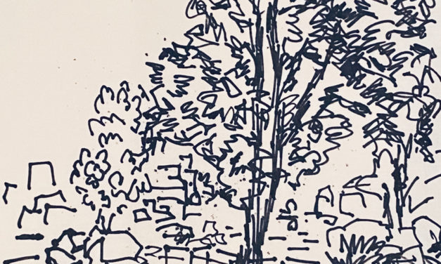drawing | forest