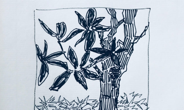 drawing | TREE