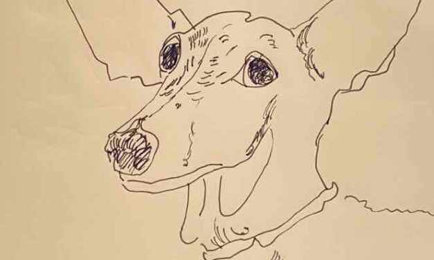 drawing | dachshund