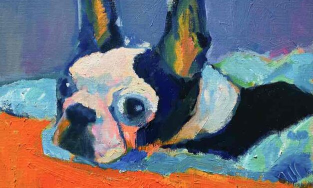 oil colour | Boston terrier