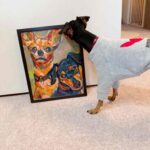 COLLCTORS ROOM | 087