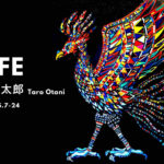 solo EXHIBITION | life |7.5 -24.5.2025 | tagboat | TOKYO