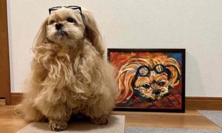 COLLCTORS ROOM | 089