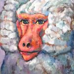 oil colour | hamadryas baboon