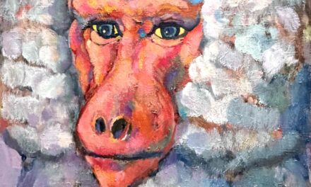 oil colour | hamadryas baboon