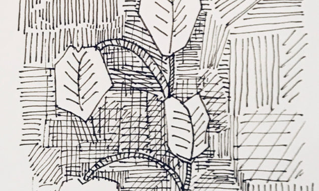 素描画 | Botanical room