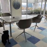 COLLECTORS ROOM | 090