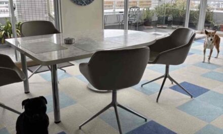 COLLECTORS ROOM | 090