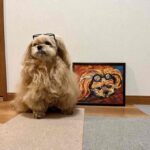 COLLECTORS ROOM | 089