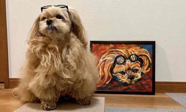 COLLECTORS ROOM | 089